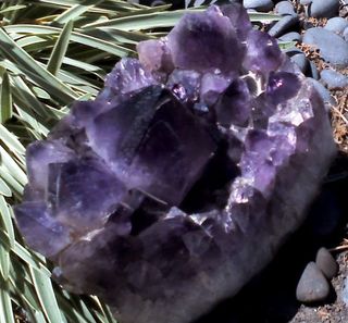Brazilian Amethyst Large Point Cluster